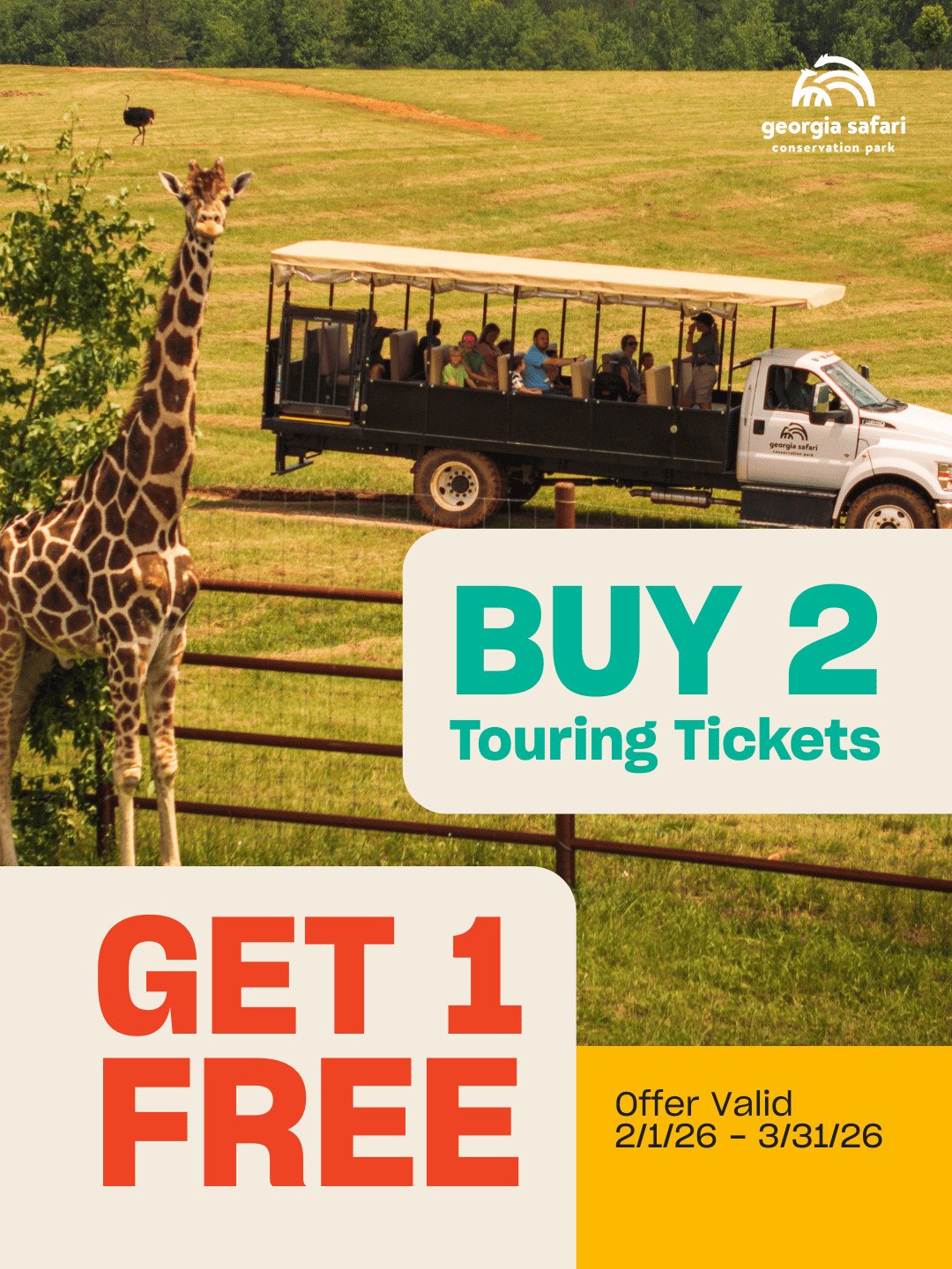 A promotional advertisement for Georgia Safari Conservation Park. The image features a giraffe standing by a fence in the foreground, with an open-air safari tour truck full of people in the background field. Large text overlays read: "BUY 2 Touring Tickets" in teal, and "GET 1 FREE" in red-orange. A yellow box in the corner states: "Offer Valid 2/1/26 – 3/31/26."