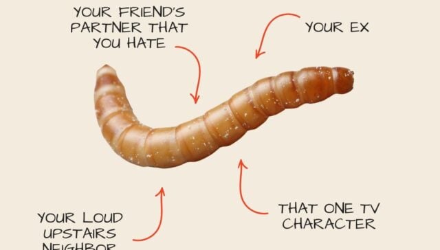 A mealworm with four red arrows pointing to it, each with a label: "YOUR FRIEND'S PARTNER THAT YOU HATE," "YOUR EX," "YOUR LOUD UPSTAIRS NEIGHBOR," and "THAT ONE TV CHARACTER." This image is part of a promotion to name feeder insects after disliked people for a conservation fundraiser.