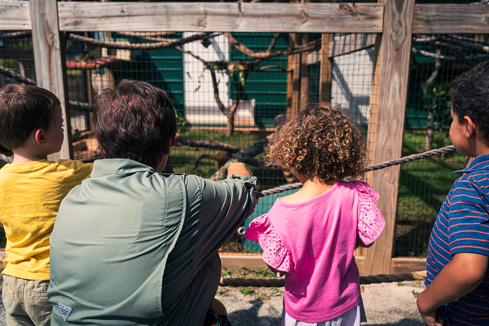 Children on a Safari Tour