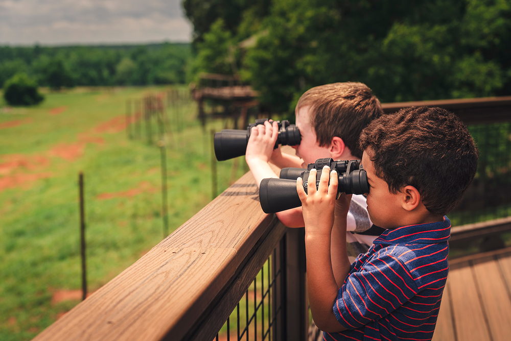 Two boys looking out across the park