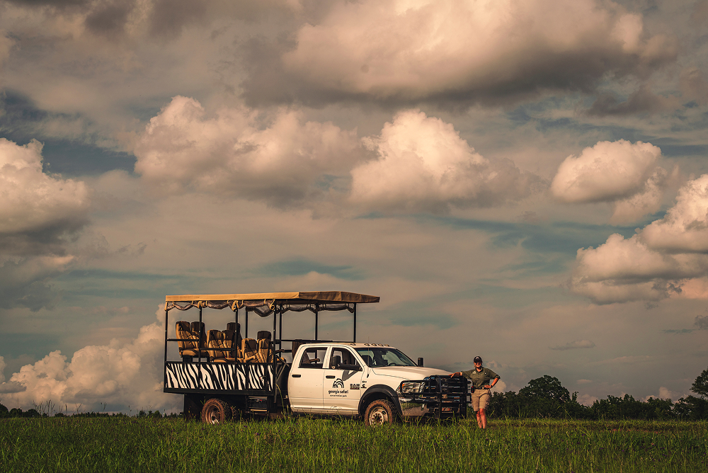 Safari Truck