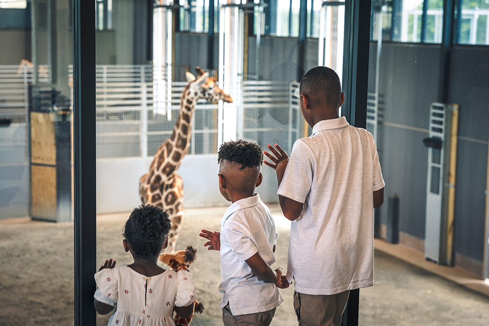 Kids and giraffe suite