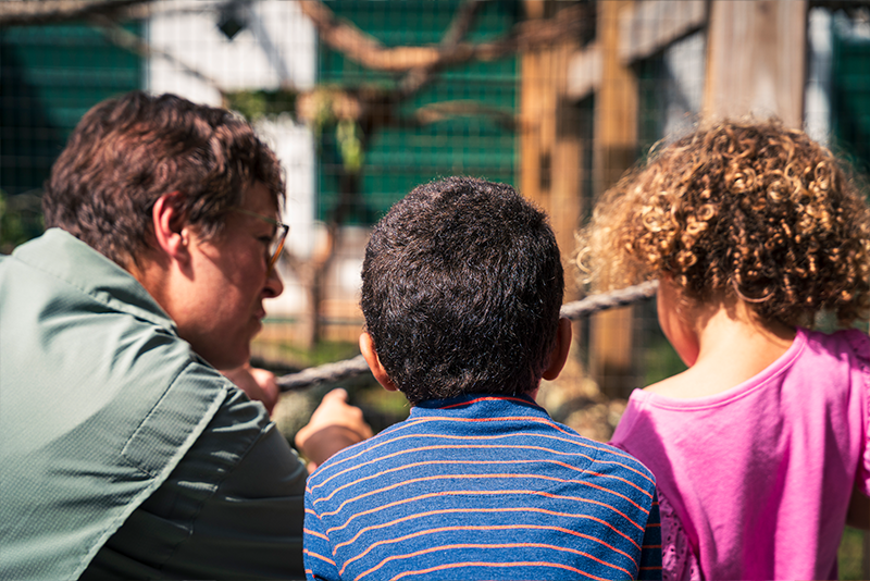 Kids looking at animals