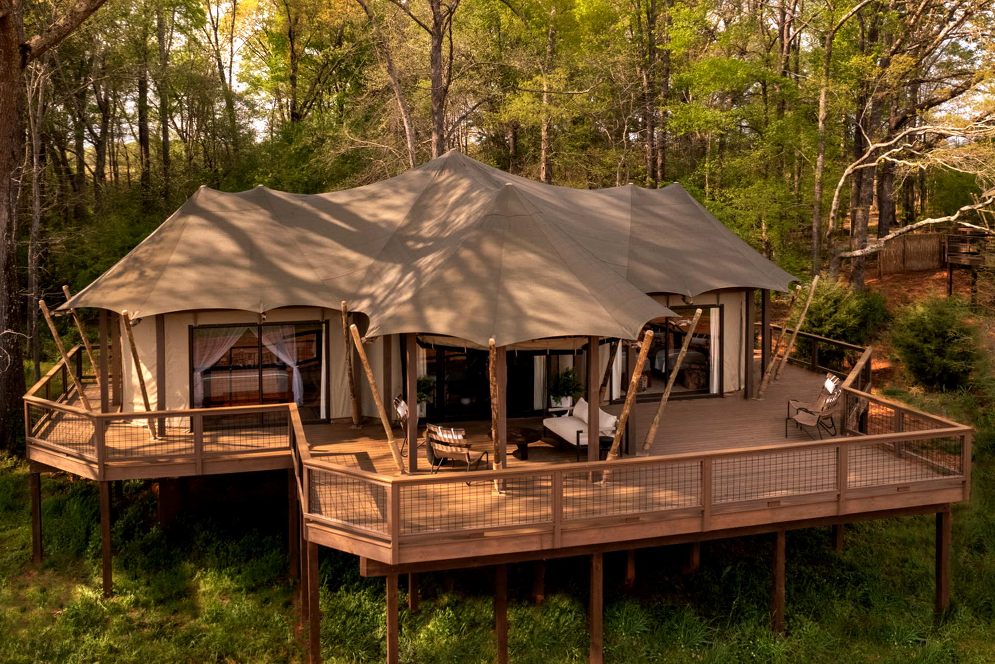 Safari tent