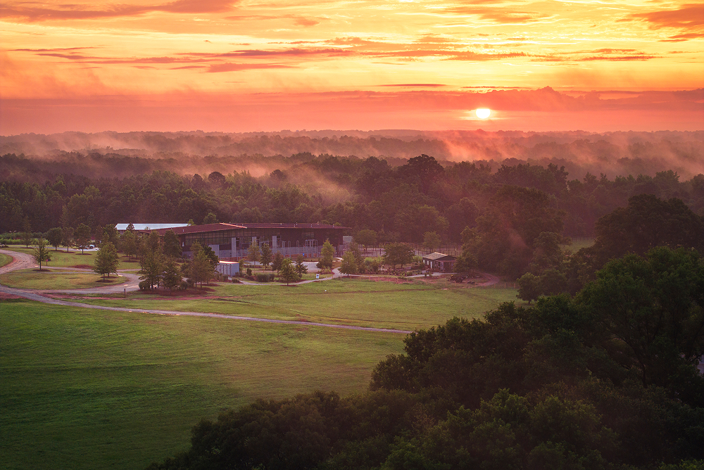 Georgia Safari at Sunset