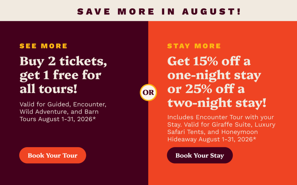 See More, Stay More, Save More!