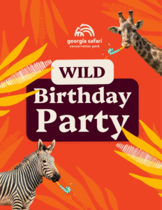 Birthday Party Packages